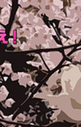 Yayoi Sakura no Sora ni Warae!