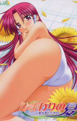 Himawari no Natsu ~Boku ga Eranda Ashita~