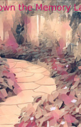 Down the Memory Lane