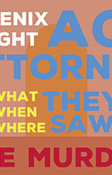 Phoenix Wright Ace Attorney - What, When, Where They Saw the Murder