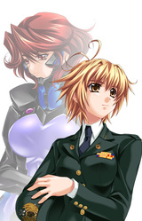 Muv-Luv Alternative Chronicles: Inheritance