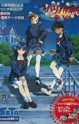 Super Real Mahjong ~P.V~