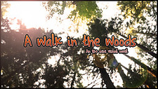 A walk in the woods