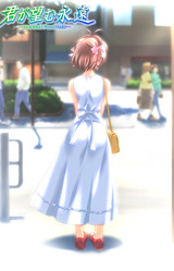 Kimi ga Nozomu Eien ~Special Fan Disc~