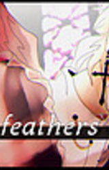 a portrait of feathers