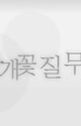 안개꽃 질 무렵