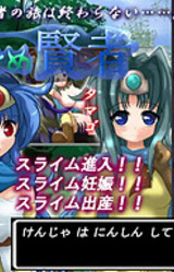 Chiisame Kenja ~Kenja wa Ninshinshite Iru!~