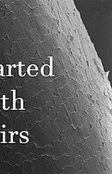 It Started With Hairs