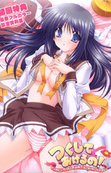 Tsukushite Ageru no! ~Datte Onii-chan no Oyome-san ni Naritain da Mon~