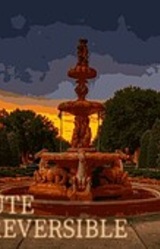 1MINUTE IRREVERSIBLE