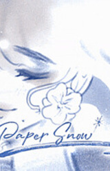 Paper Snow
