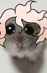 danganronpa komahina love