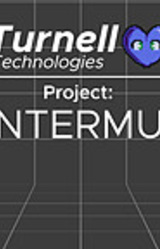 Проект «Зимняя глушь»