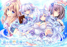 Haruka Ao no Hanayome ni