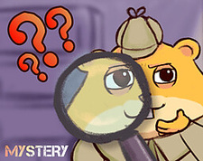 The Mysterious Disappearance of Monsieur Noudelle