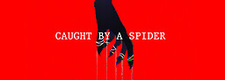 Caught by a Spider