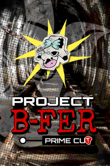 Project B-FER