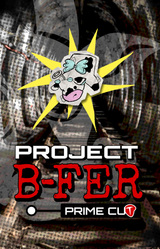Project B-FER