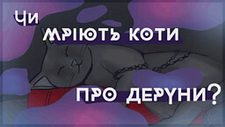 Чи мріють коти про деруни?