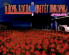 В ночь, когда цветёт ликорис — Другая ночь