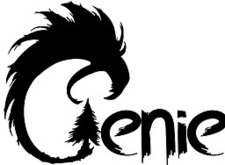 Cienie