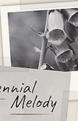 Perennial Melody