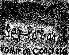 Self-Portrait, Vomit on Concrete