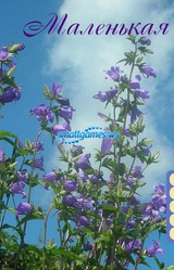 Маленькая сказка