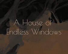 A House of Endless Windows