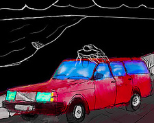 Meddlesome Reflection