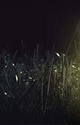 Sovremennyj Sovjonok : На грани миров