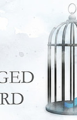 Caged Bird