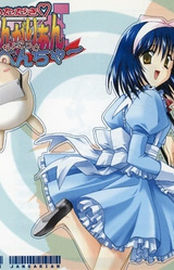 Itadaki Djungarian Chokotto Adventure