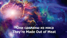 Они сделаны из мяса