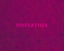 Pinfeather