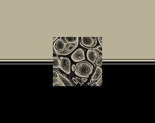 portrait on imagined horizon