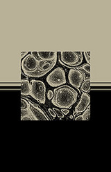 portrait on imagined horizon