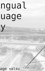 bilingual language diary