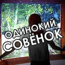Одинокий "Совёнок"