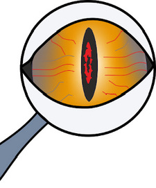 Детектив -- игра на логику