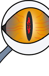 Детектив -- игра на логику