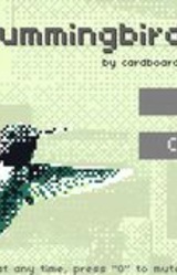Hummingbird Mind