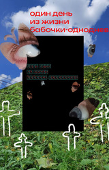 Один день из жизни бабочки-однодневки