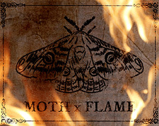 The Romance of the Moth and the Flame