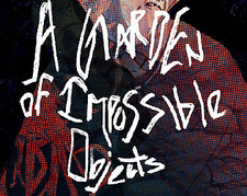 A Garden of Impossible Objects