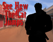 See How the Cat Jumps