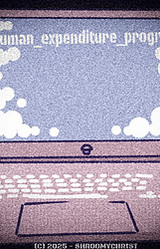 Human Expenditure Program