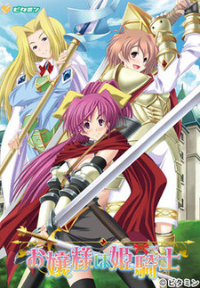 Ojou-sama wa Hime Kishi