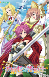 Ojou-sama wa Hime Kishi