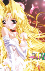 Prism Heart ~Ken ni Kometa Omoi~